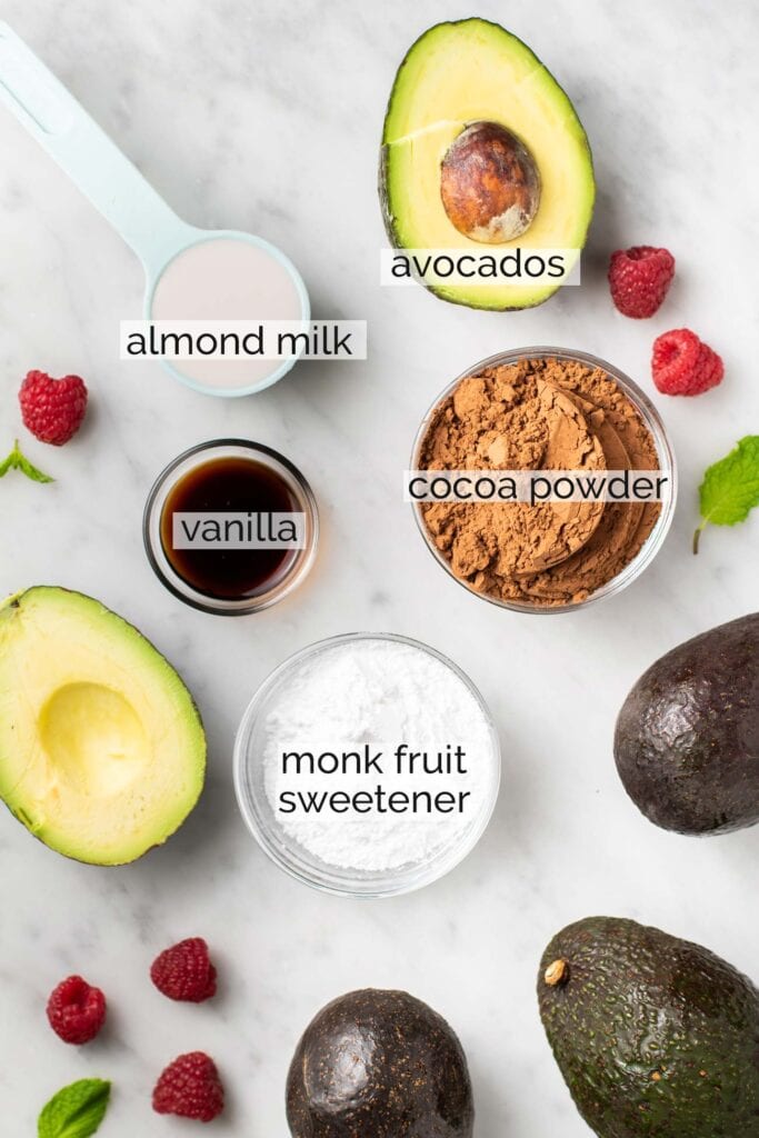 The ingredients needed to make a sugar free avocado pudding