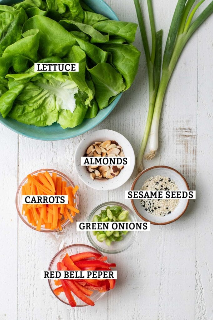The ingredients needed to make lettuce wraps.